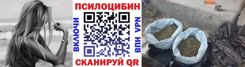 Галлюциногенные грибы Cubensis  Монино 